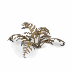 GamersGrass® - Laser Plants - Dry Bracken -Modèle Militaire Jouet gamersgrass laser plants dry bracken gglp db 1