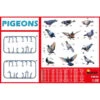 MiniArt® Set De Pigeons 1:35 -Modèle Militaire Jouet miniart set de pigeons 38036