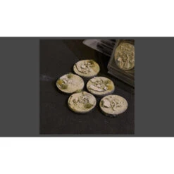 Socle GamersGrass Steppe Aride, Rond 40mm (x5)