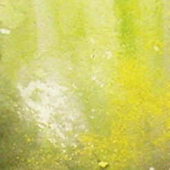 Vallejo® Weathering FX Slimy Grime Light - 73823 40 Ml 5 Vallejo® Weathering FX Slimy Grime Light - 73823 40 Ml -Modèle Militaire Jouet vallejo weathering fx slimy grime light 73823 40 ml 1